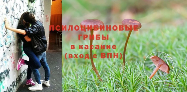 гидропоника Баксан