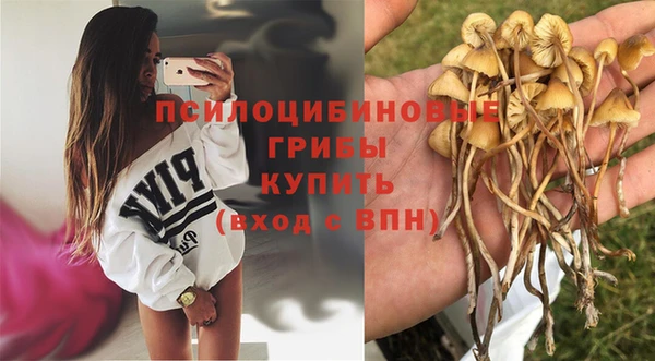 гидропоника Баксан