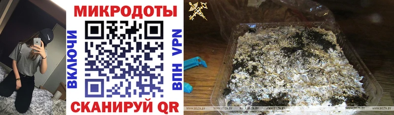 даркнет сайт  Бородино  Псилоцибиновые грибы Cubensis 