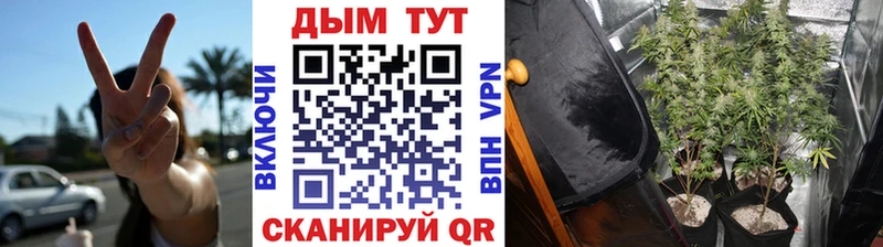 Шишки марихуана Bruce Banner  Бородино 